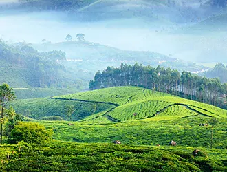 munnar b2b tour packages, kerala b2b tour package