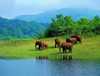 b2b travel agency in thekkady, dmc kerala 